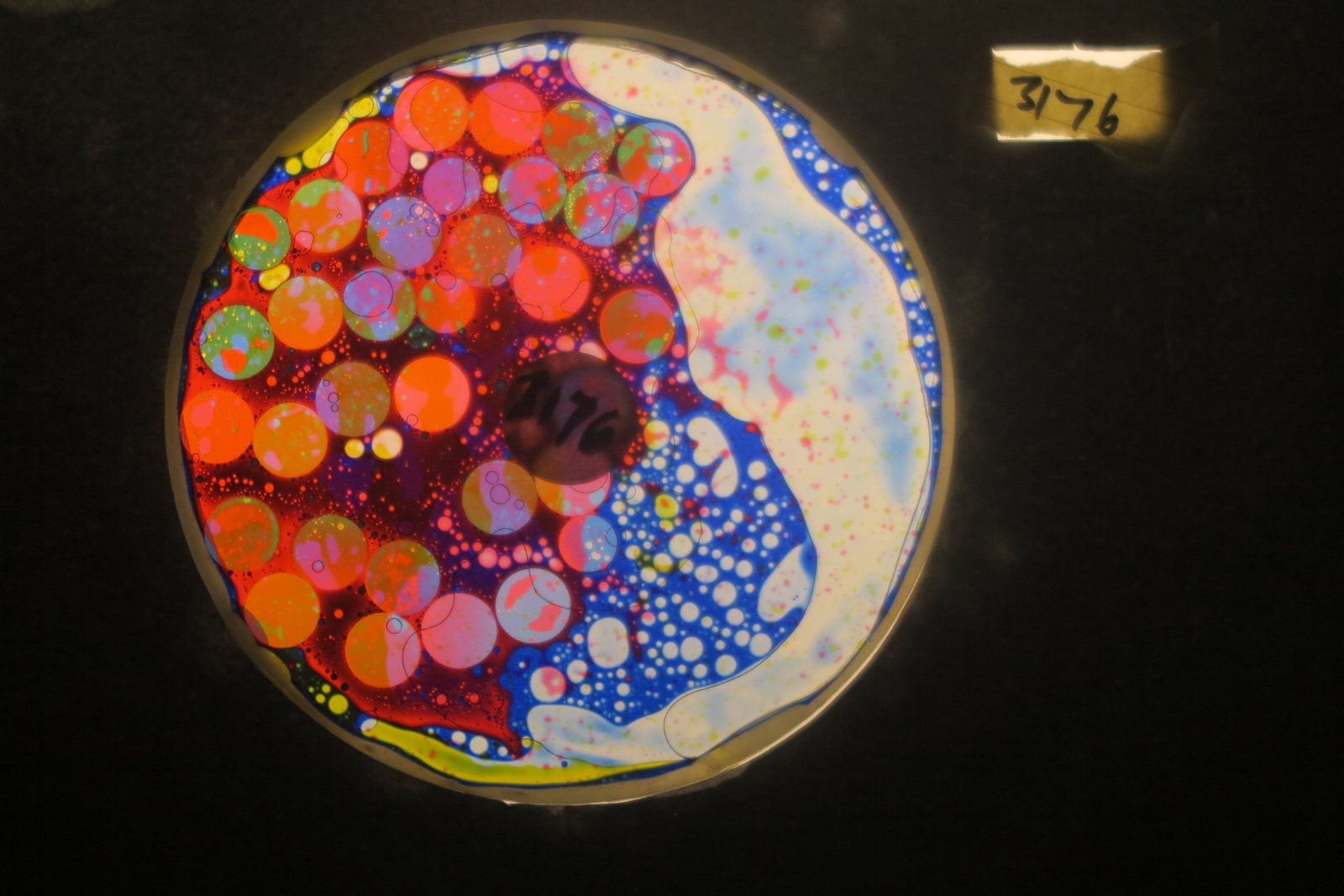 BV3176 bubble vision oil wheel